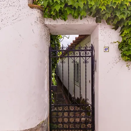 Delle Ninfee By Napoliapartments فيلة