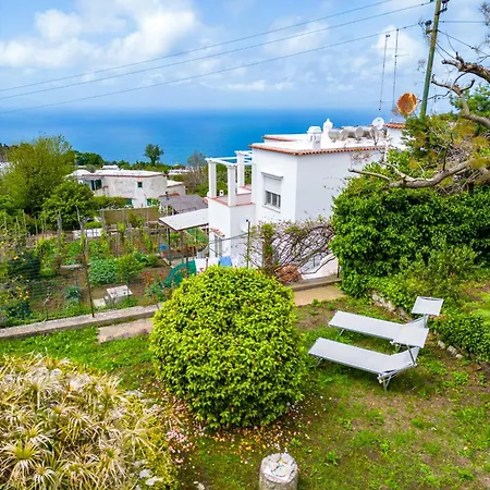 Delle Ninfee By Napoliapartments Villa Anacapri (Isola di Capri)